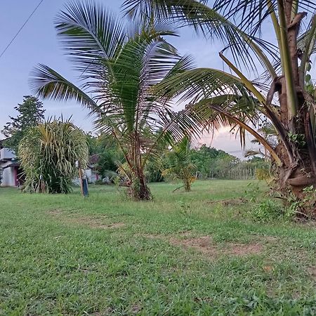 Appartamento Sunshine Cafe Tangalle Esterno foto