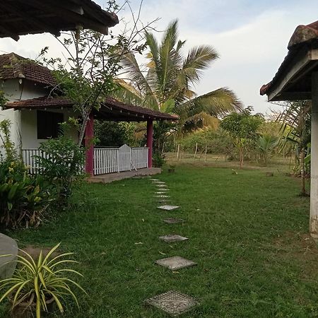 Appartamento Sunshine Cafe Tangalle Esterno foto