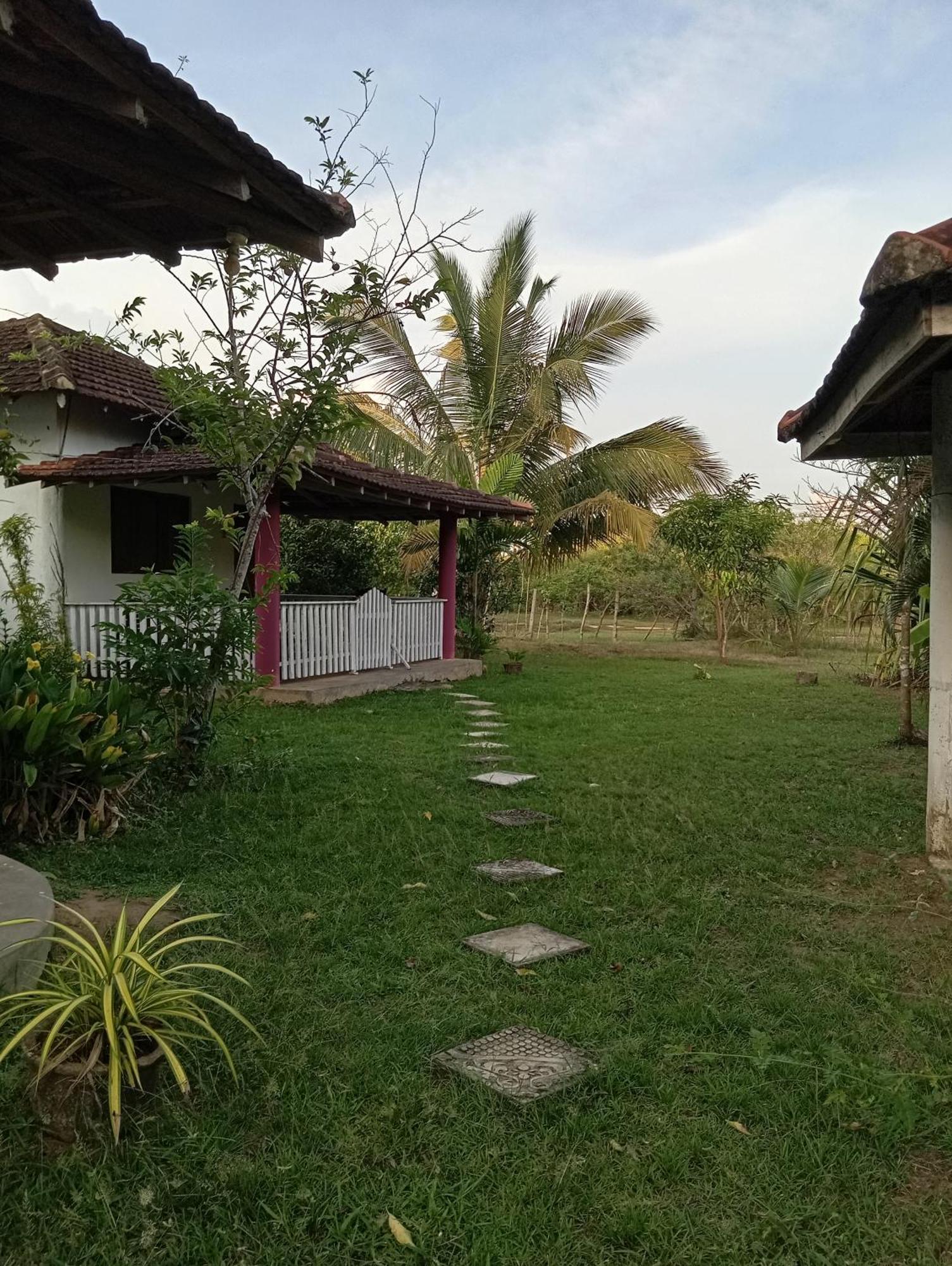 Appartamento Sunshine Cafe Tangalle Esterno foto