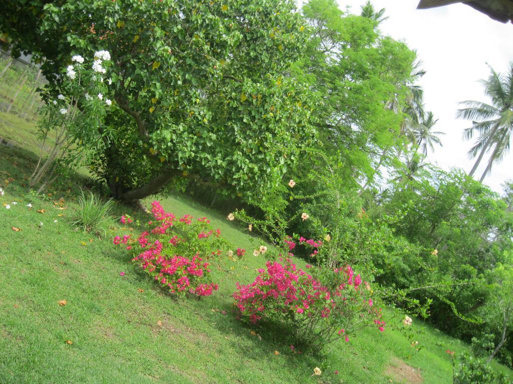 Appartamento Sunshine Cafe Tangalle Esterno foto