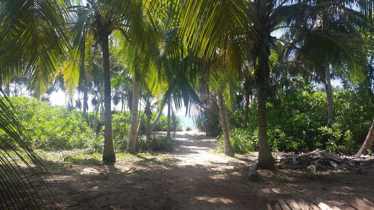 Appartamento Sunshine Cafe Tangalle Esterno foto