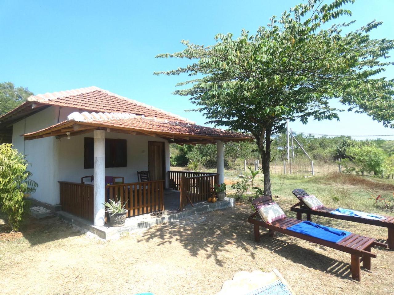 Appartamento Sunshine Cafe Tangalle Esterno foto