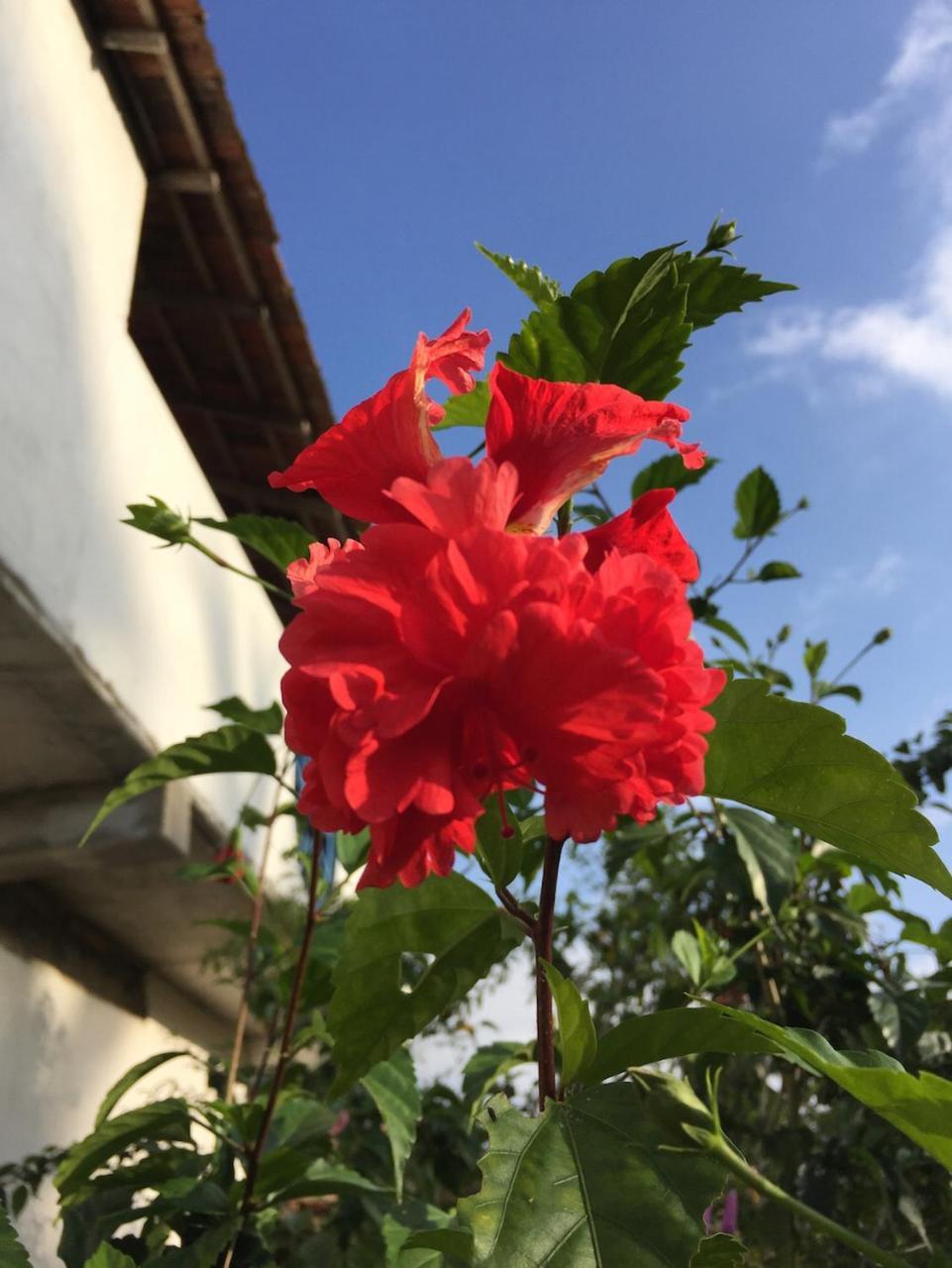 Appartamento Sunshine Cafe Tangalle Esterno foto